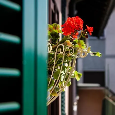 La Ringhiera Tropicale-bilocale Con Parcheggio E Self Check In Apartment *